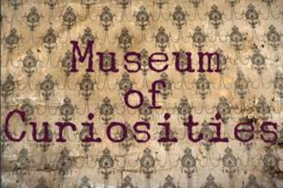 Museum Of Curiosities