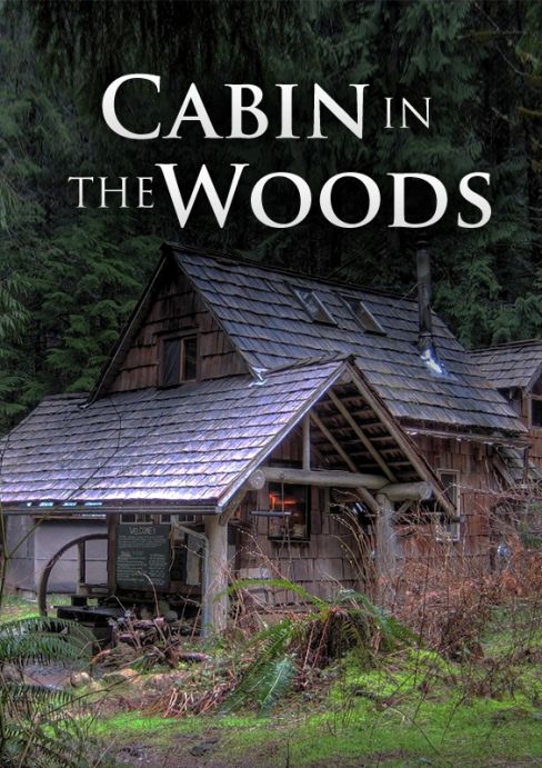 Cabin In The Woods