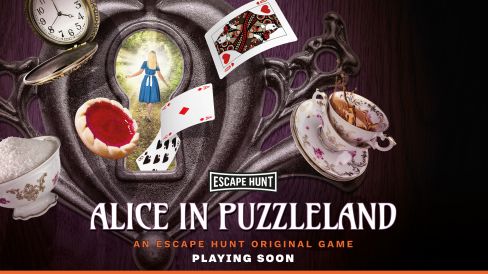 Alice In Puzzleland