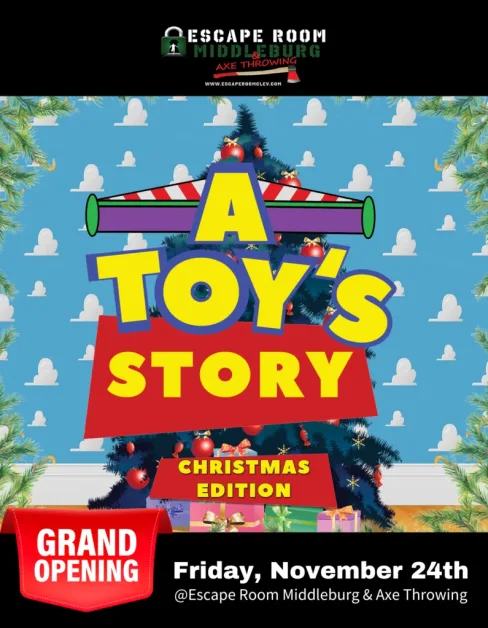 A Toy's Story