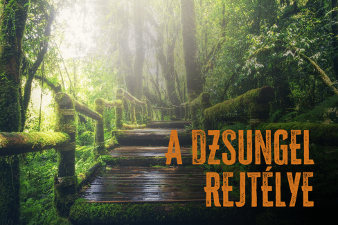 Dzsungel Rejtélye [The Mystery of the Jungle]