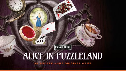 Alice In Puzzleland