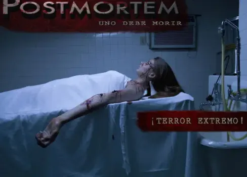 Postmortem