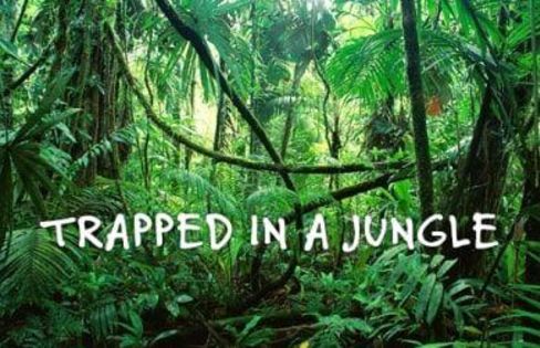 Trapped in a Jungle