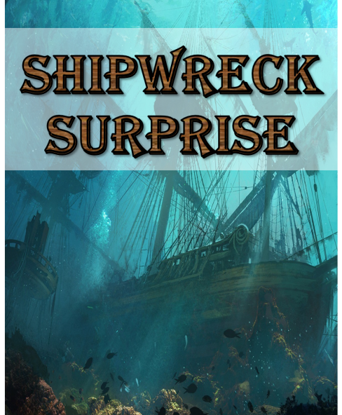 Shipwreck Surprise