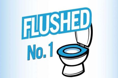 Flushed