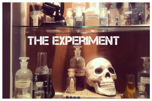 The Experiment