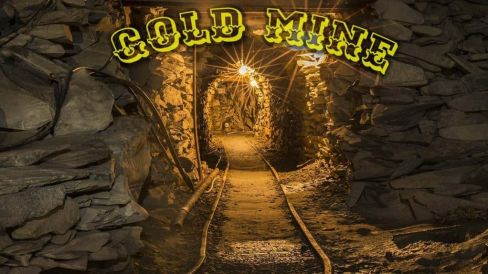 Gold Mine