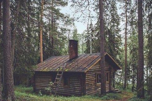 Cabin In The Woods