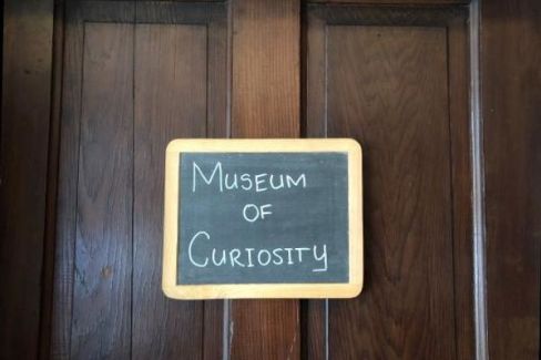 The Museum Of Curiosity