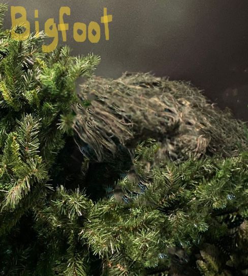 Mystery of the Missing at Bigfoot Forest