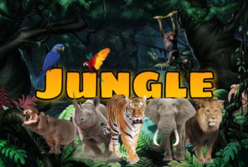 La Jungle [Jungle]