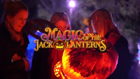 Magic Of The Jack O'Lanterns