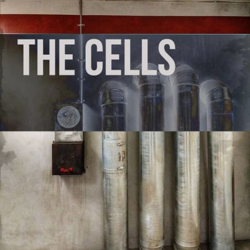 The Cells