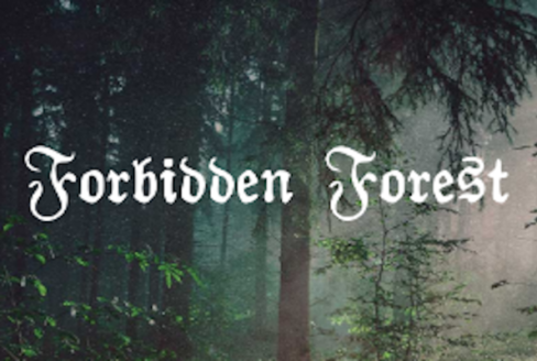 Forbidden Forest