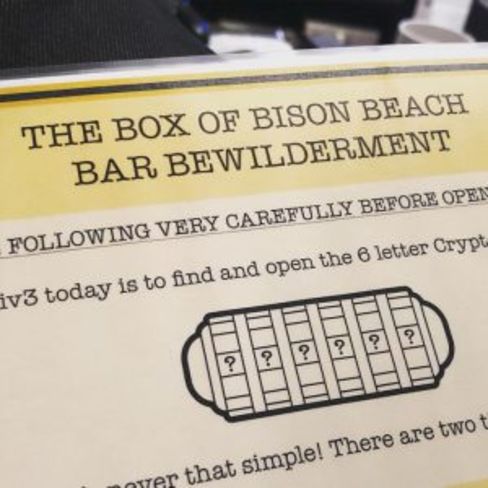 The Box of Bison Beach Bar Bewilderment