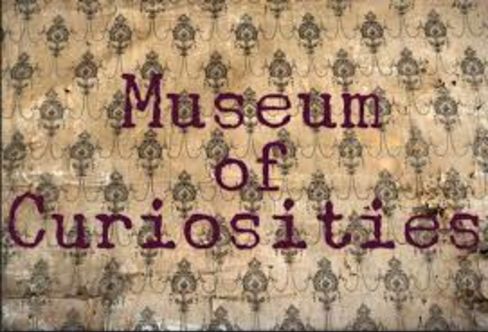 Museum Of Curiosities