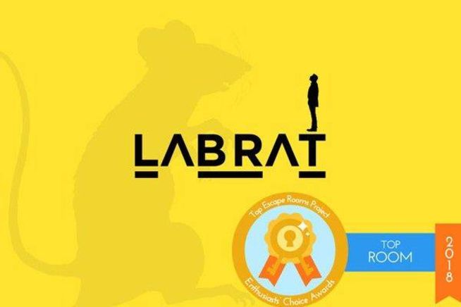 Lab Rat