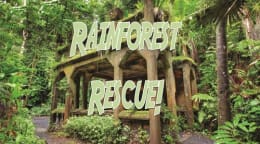 Rainforest Rescue