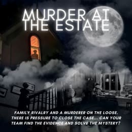 Woodlands Murder Mystery - Murder at the Estate