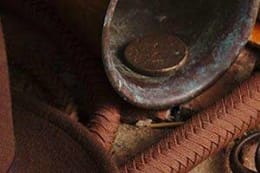 The Pharaoh's Chamber