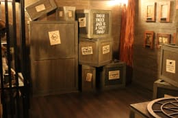 Pirates of the Golden Skull