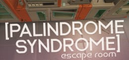 Palindrome Syndrome