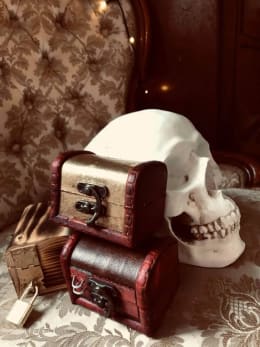 Tidsresan [Time Travel]