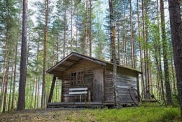 Cabin In The Woods
