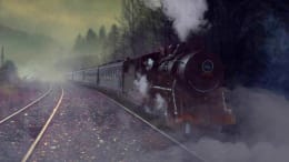 Tragedy On The Train