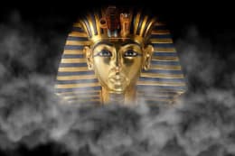 Pharaoh's Curse