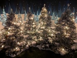 Magical Menagerie: A Christmas Adventure