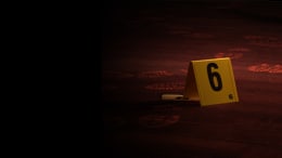 Escena Del Crimen [Crime Scene 95]