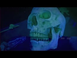 Farmhouse Murders [Forensic Lab]