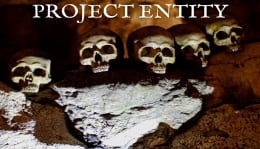 Project Entity