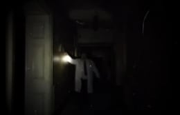 Madog's Asylum