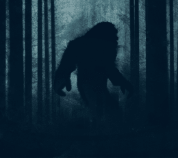 Bigfoot