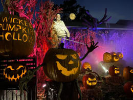 Wicked Pumpkin Hollow - Yard Display