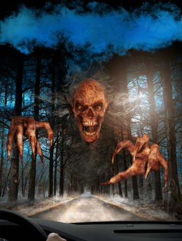 The Nightmare Forest