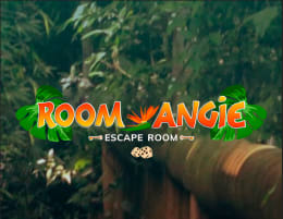 Roomangie [Room Angie]