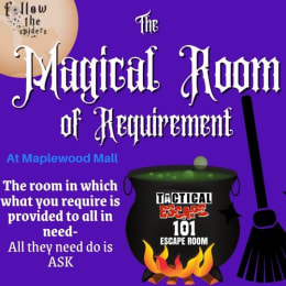 The Magical Room Of Requirement