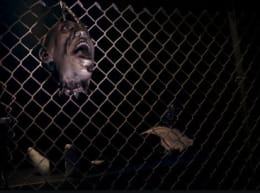 Apocalypse Zombie [Zombie Apocalypse]