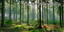 פרויקט X [Project X]