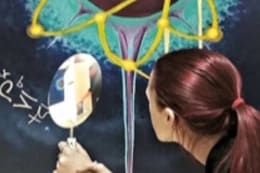 Gallery 3919