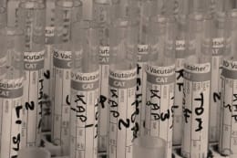 Bio Lab: Head To Head