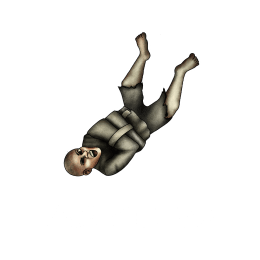 Asylum