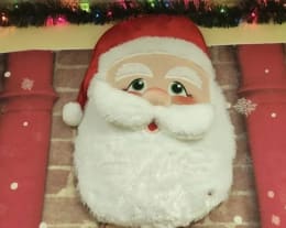 The Christmas Caper