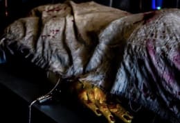 Dr Frankenscraft’s Monster