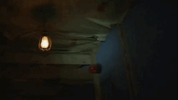 The Basement
