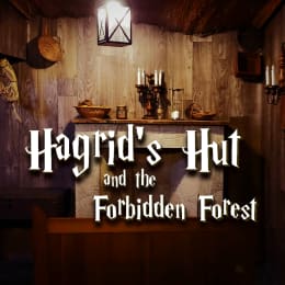 Hagrid's Hut And The Forbidden Forest